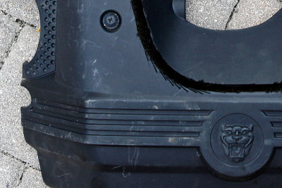 5DII_5004a_800.jpg