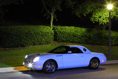 5DII_4105a_800.jpg