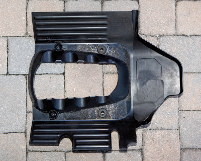 5DII_5408a_800.jpg