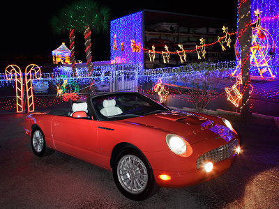 Christmas Lights