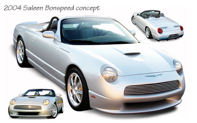 SaleenBonspeed_01.jpg