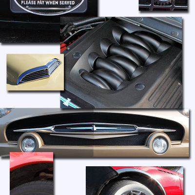 Collage_03.jpg
