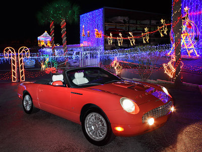 Christmas Lights.jpg
