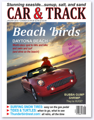 MagCover_Beach.jpg