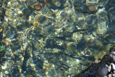 DSC06735.JPG