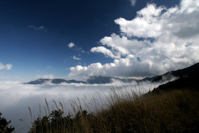 DSC06857.JPG