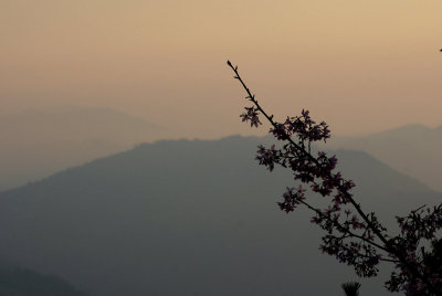 DSC06912.JPG