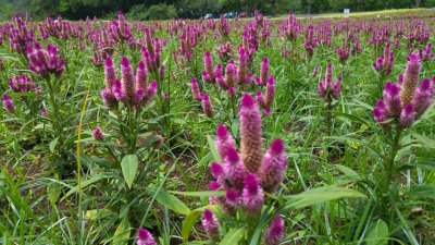 20160630_111455.jpg