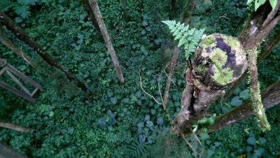 IMAG0362.jpg