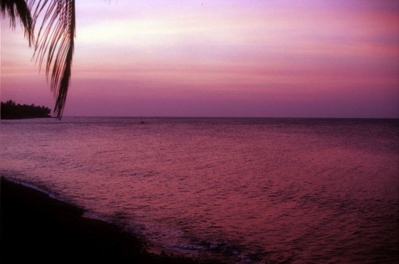 Lovina Sunset, Later