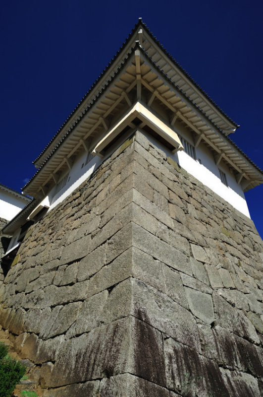Walls And Castle Tower
