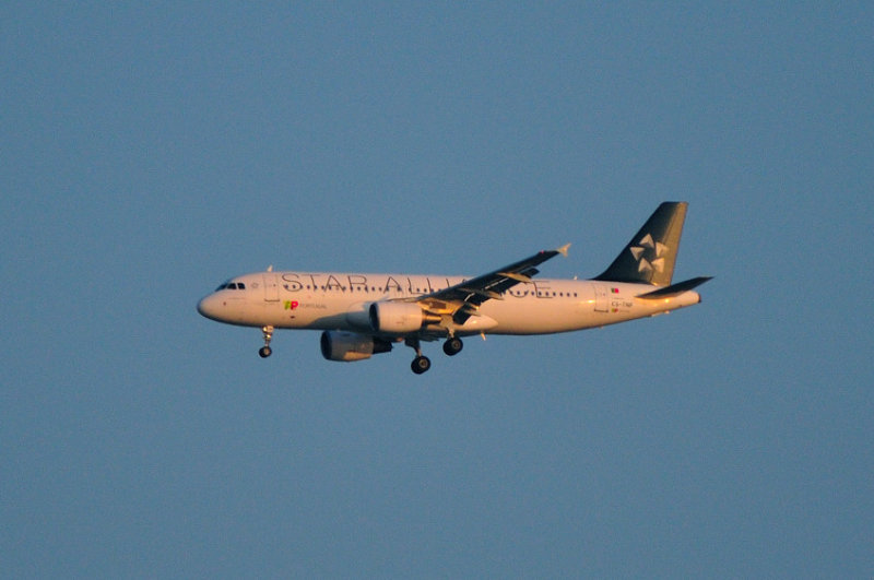 TAP Star Alliance A320, CS-TNP