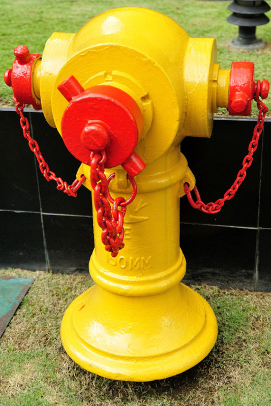 Yellow and Red