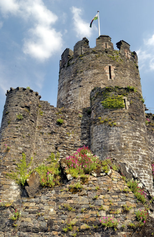 The Strong Welsh Border Bastion