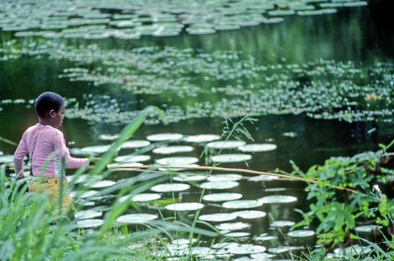 Boy in Pink Trying To Fish 