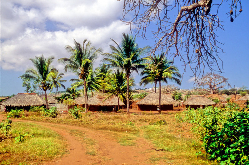 The Natives Village: True Africa    