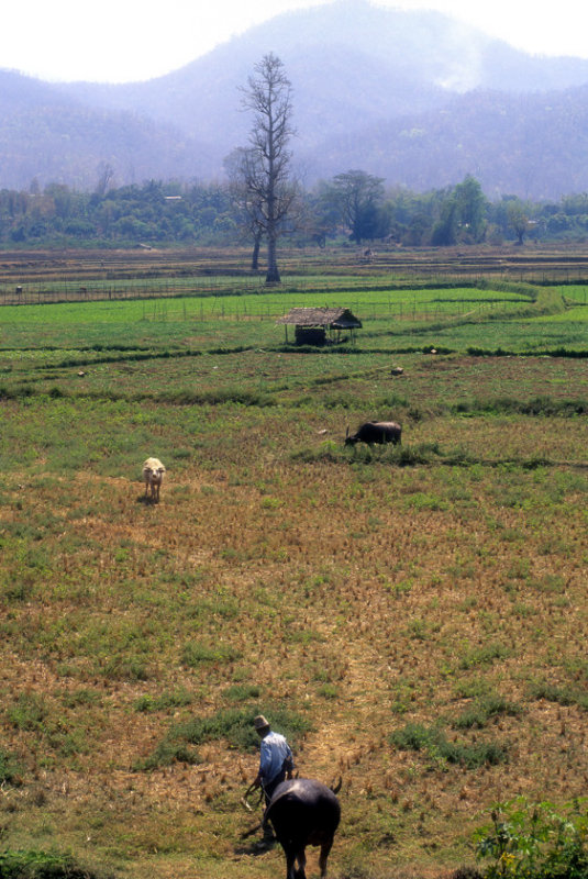 Vietnam Films Scenery 