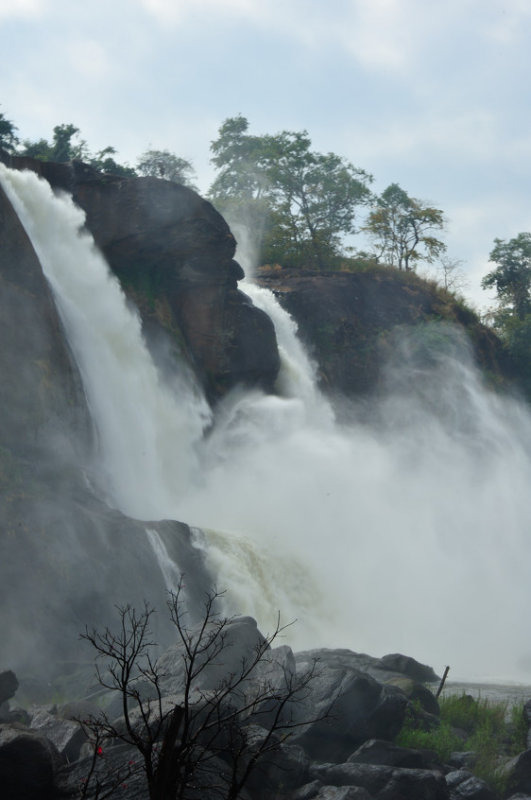 Falls, Falls