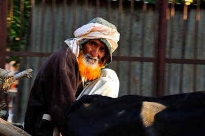 Orange Beard