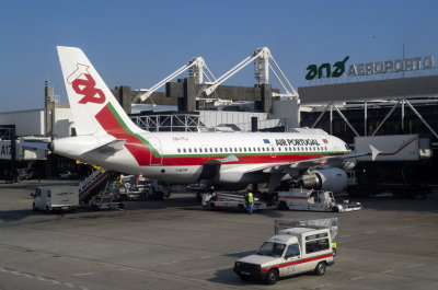 Lisbon Airport Airbus A319, Old TAP Livery, CS-TTJ