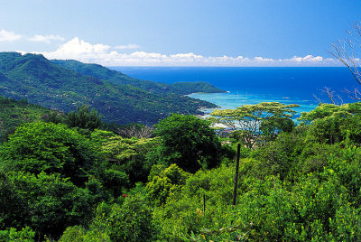 Mahe View From Top