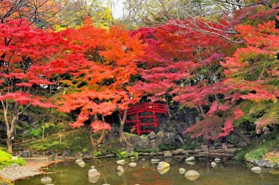 Red Bridge on Autumn