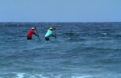 Rowing in the Waves 