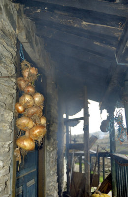 The Onions In the Smoke...