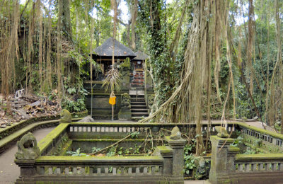 The Sacred Lake and Temples in the Forest