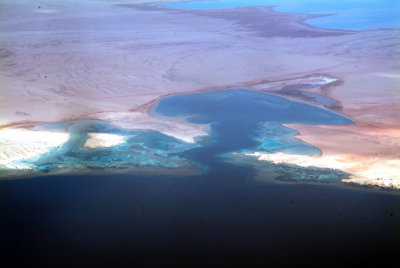 Shores of Sinai