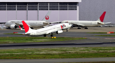 JAL B-737/800 TO In Front of a B-787