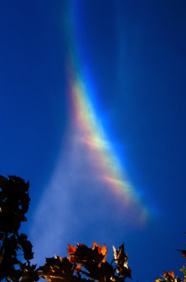 The Strange Rainbow...