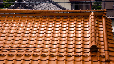 The Orange Roof