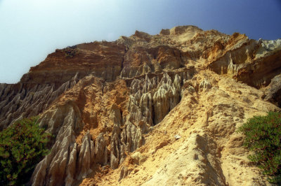 Mecos Fossile Cliffs