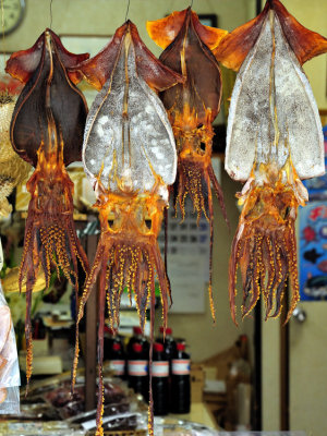Giant Squid For Sale