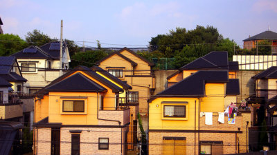 Suburban Houses At Sunset