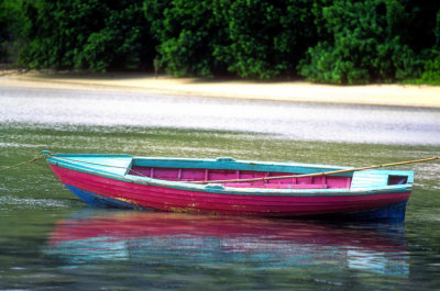 Pink Boat 