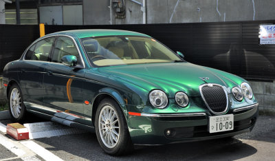 Jaguar Greens