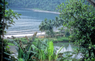 Equatorial Fishing Camp