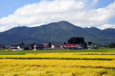 The Fukushima Fields of Summer's End