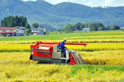 The Weekend Farmer