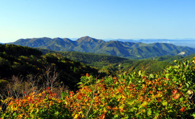 The Mountains' View