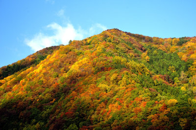 The Mountains Autumn Robe