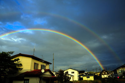 Rainbows' Goodbye: From My Window