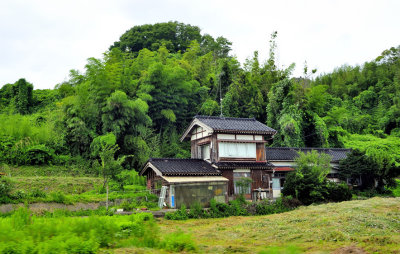 The House Aft the Bamboo
