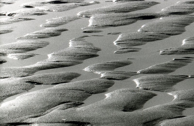 Voluptuous Shades of Water on Wet Sand