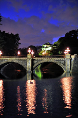Imperial Palace New Year Lights