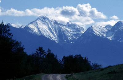 Montana's Glacier Mountains