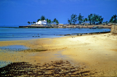 Low Tide and Chappel  