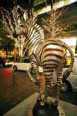 Zebra for Xmas